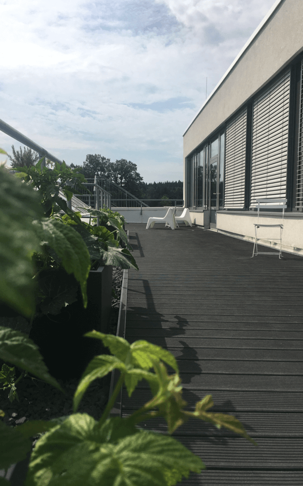 Our sundeck at our location in Gilching with home-grown fruit and vegetables